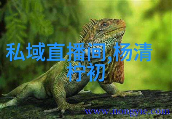 时尚家居我的生活小品质升级计划