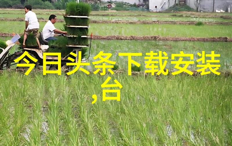 逆袭甜婚记我与岳父母的爱情奇缘