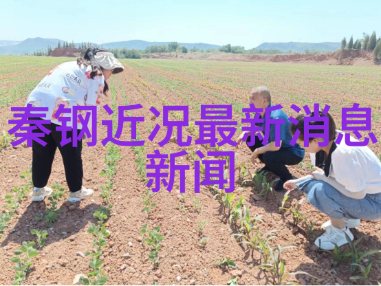 新闻速递时事风暴中的瞬间洞察
