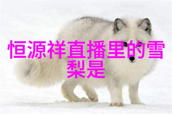 别急晚上老师就是你的人了-温暖的语音与夜空下的启蒙