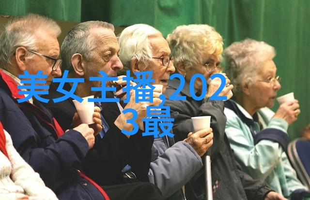 孙楠 带物资慰问灾民