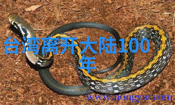 武侠风范二字网名的深邃寓意