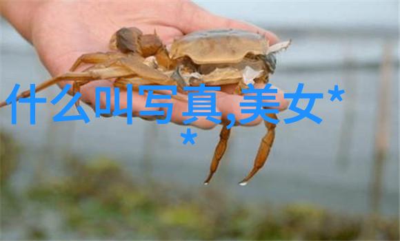 简笔画艺术的魅力一本书中的千姿百态