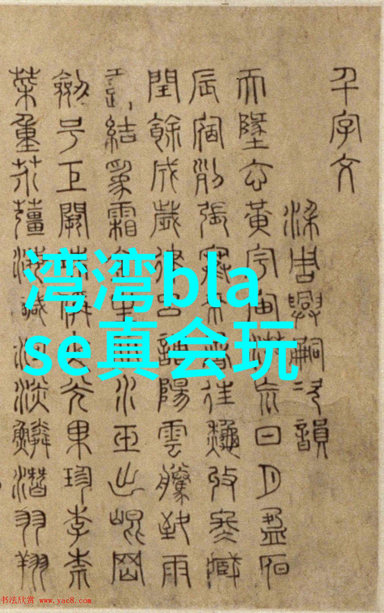 星光下的镜头舞明星写真艺术探究与文化分析