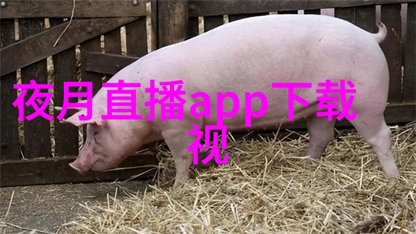 演技帝背后的团队他们又是什么人