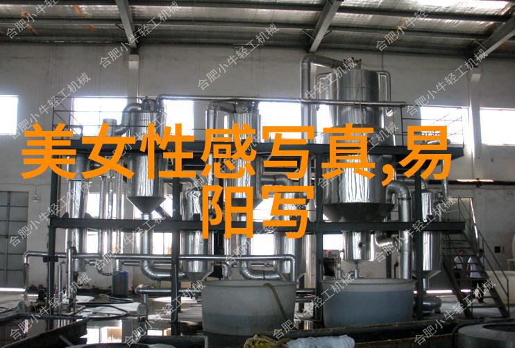 11月22日的星座之谜探索天秤座的魅力与挑战
