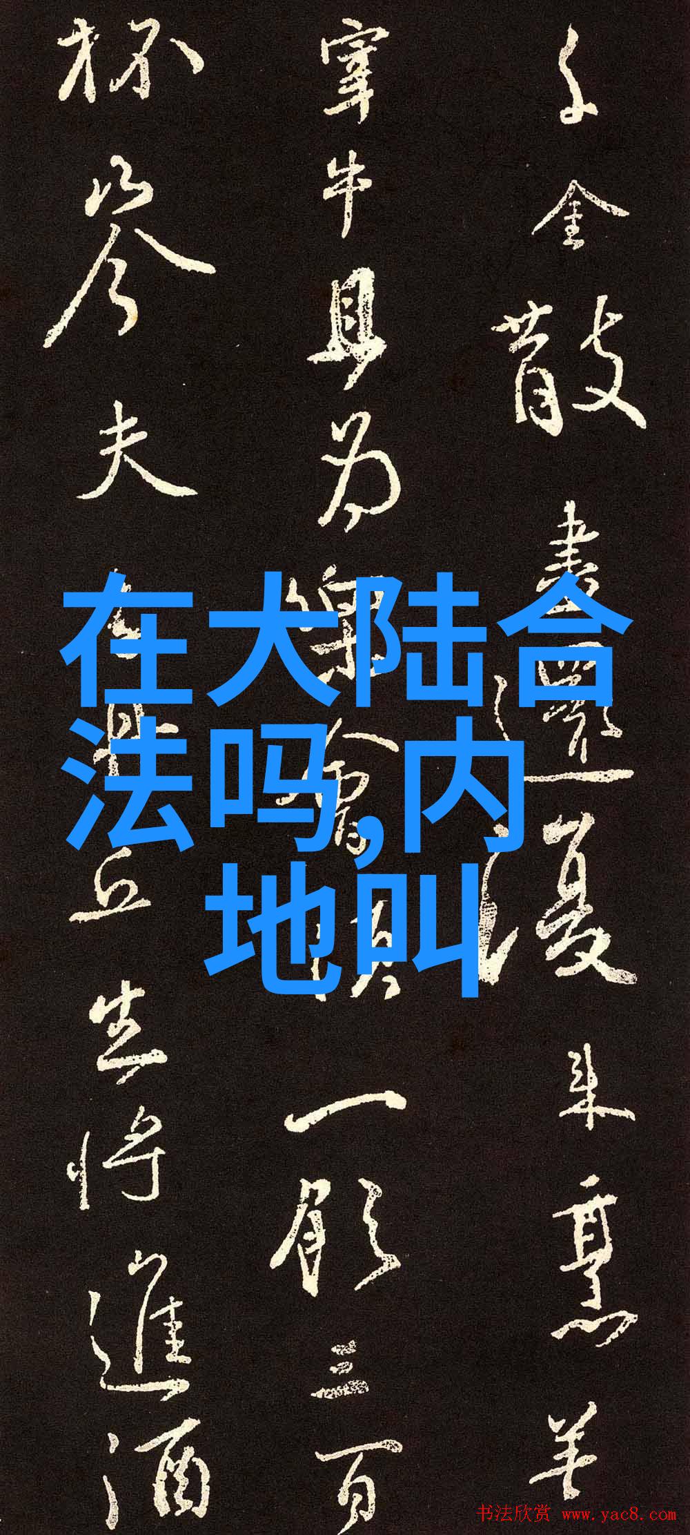 综艺大观-闪耀星光探秘娱乐圈的非凡魅力