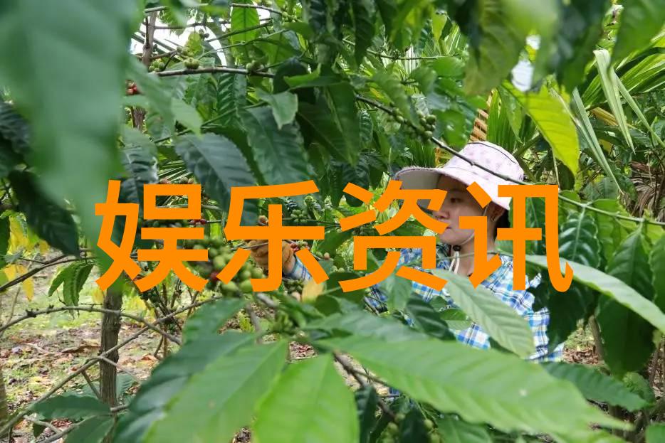 鍚村皧銆婅但寰锋柉銆嬪叚鏈堝垔灏侀潰閲婂嚭 鐢櫔浼磋氨鍐欏鐨勯姝