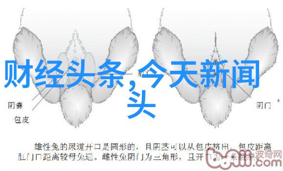 探秘天涯明月刀中那一剑惊天的秘密是什么