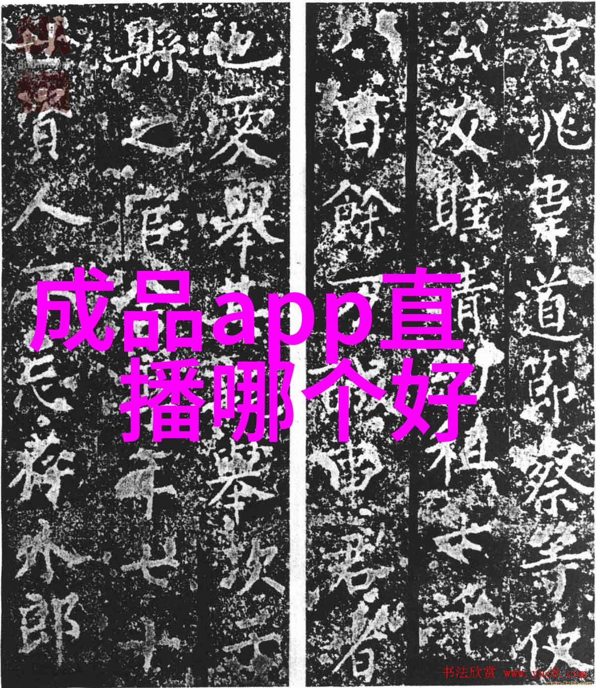 娱乐圈的注视我们的婚姻在公众眼中