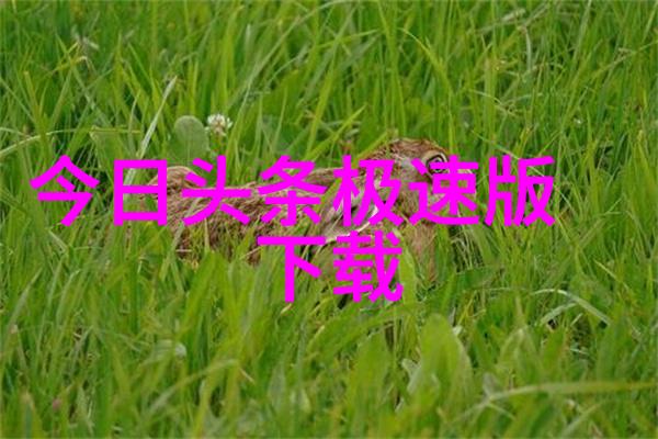 易经里的时空变迁浅谈前后的区分及作用力面向未来发展展望