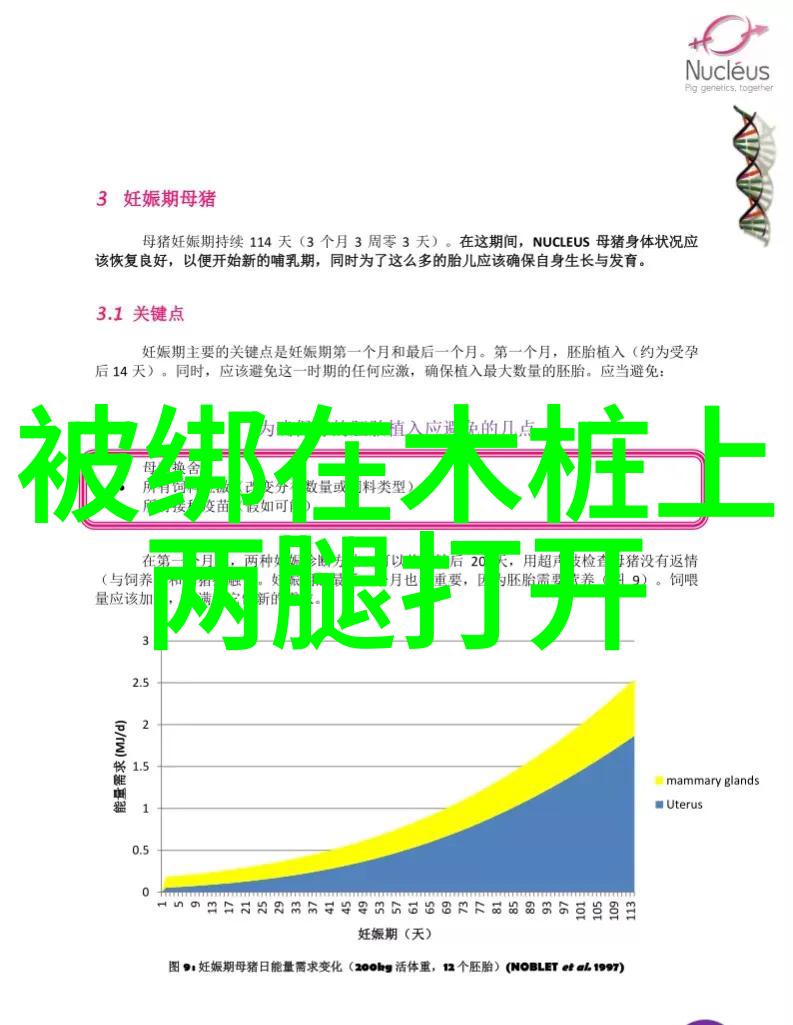 为什么这些图片大全能让我们的心灵如此受宠