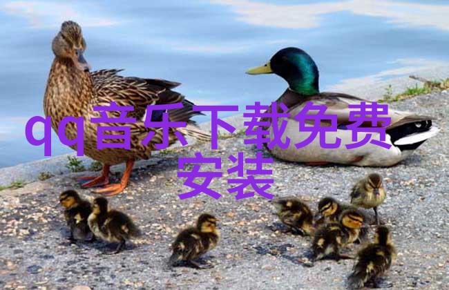 如何在手机上安全安装酷我音乐免费版并开始享受无限音乐世界