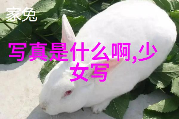 老年生活-BGMBGMBGM老太太70七十岁的她仍旧是家庭的光辉