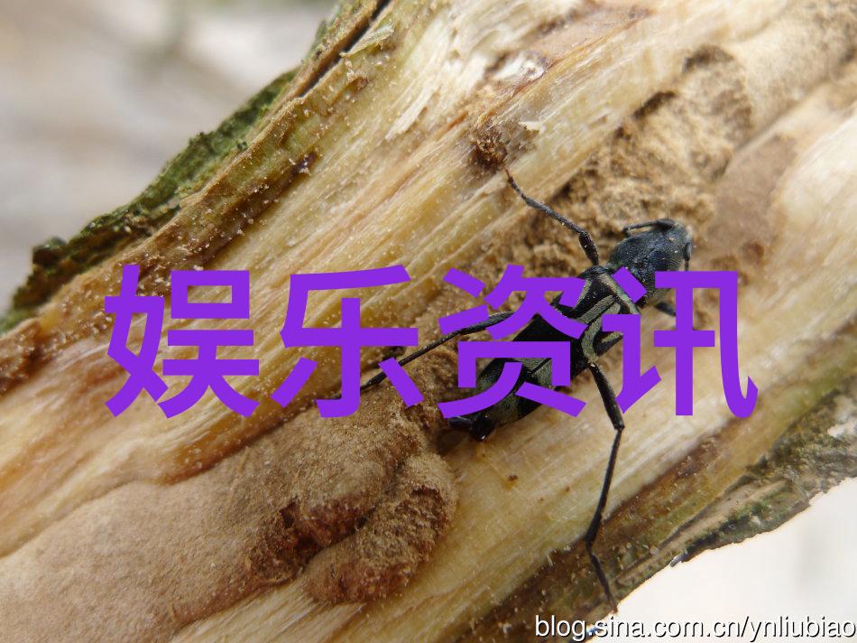 421pdf究竟是什么它的功能和用途又是怎样的