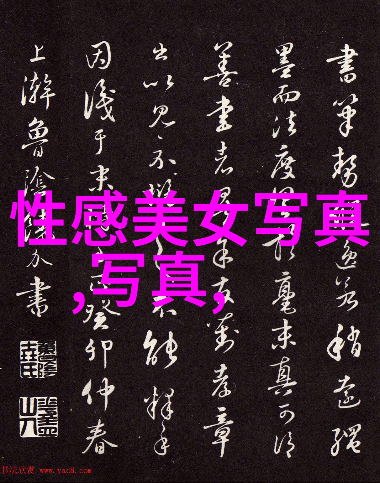 星辰秘语一生的命运何时揭晓