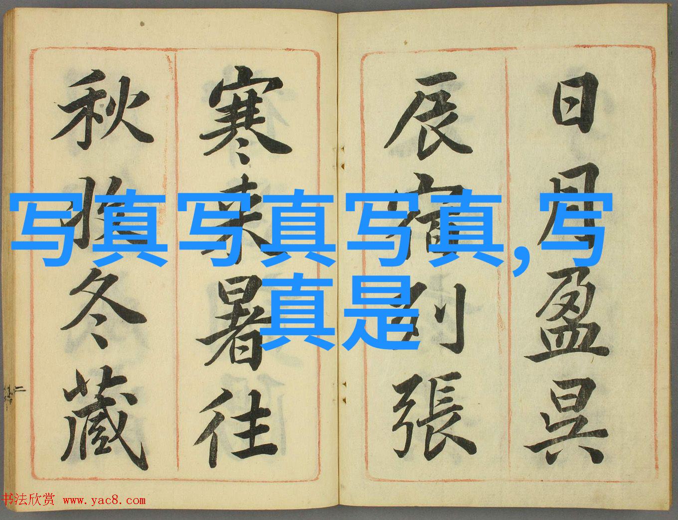 电视剧女怕嫁错郎中的婚姻与误会