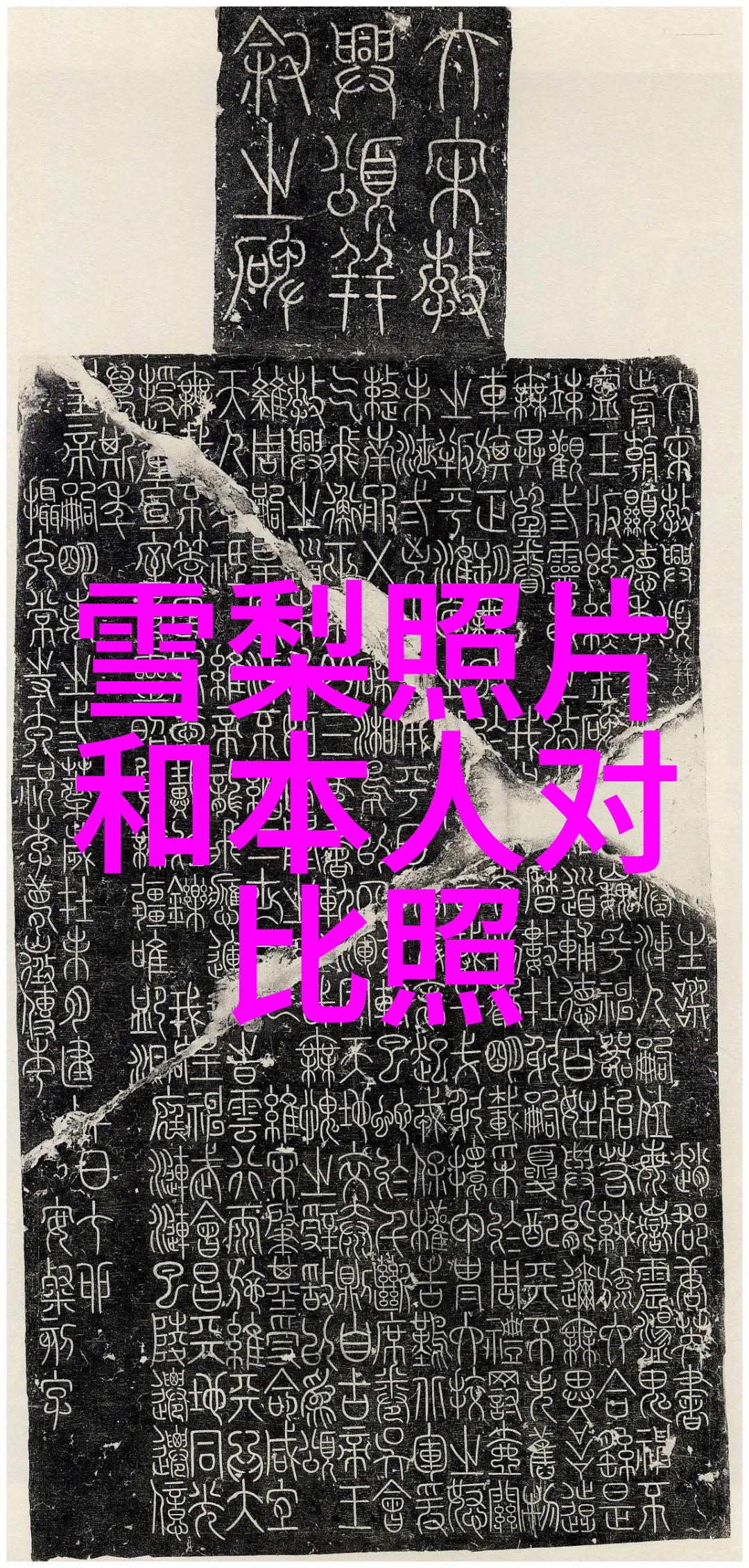 你知道吗人生路不熟中的马丽竟然化身为爱情保镖一路上保护着她的对象真是太有才了而且你想知道吗花火视频影