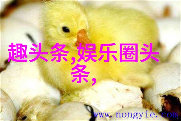 时尚街拍城市角落里的时装秀