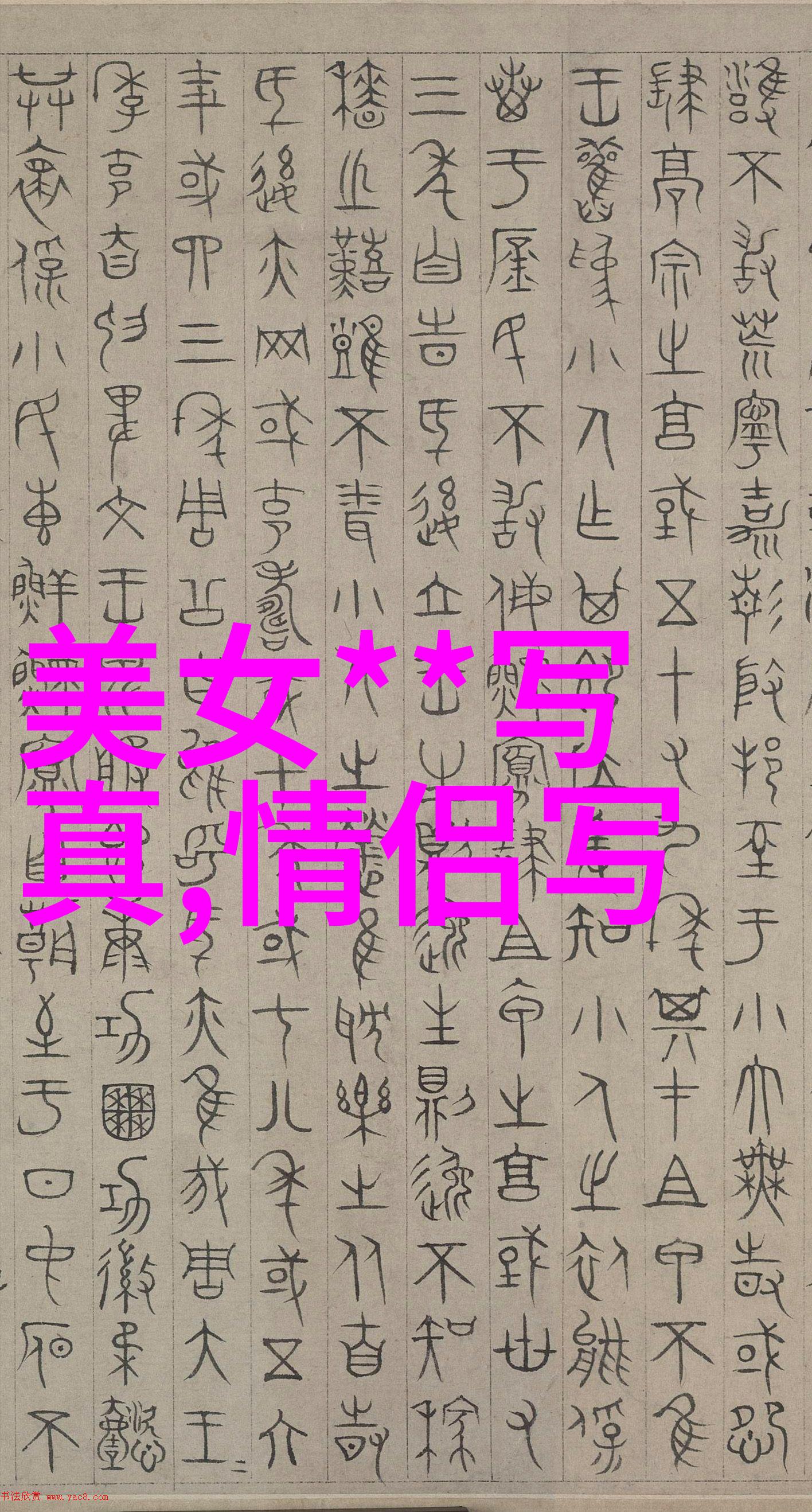 张子枫万茜合体登杂志封面好看的图片素材网站里寻找冬日新风尚的演绎