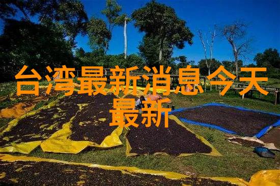 舒适空间精致细节让您在山水时尚酒店放松自得其乐