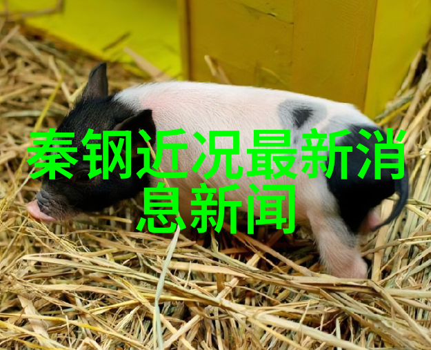 超美丽的壁纸精选美丽背景图