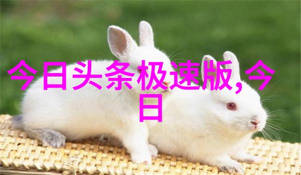 汤加丽艺术写真我与汤加丽的美妙对话一场穿越画框的艺术旅行