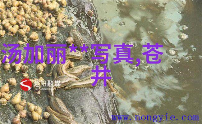 抖音网红前十名排行榜你想知道谁在抖音上最火来看看这十大网红吧
