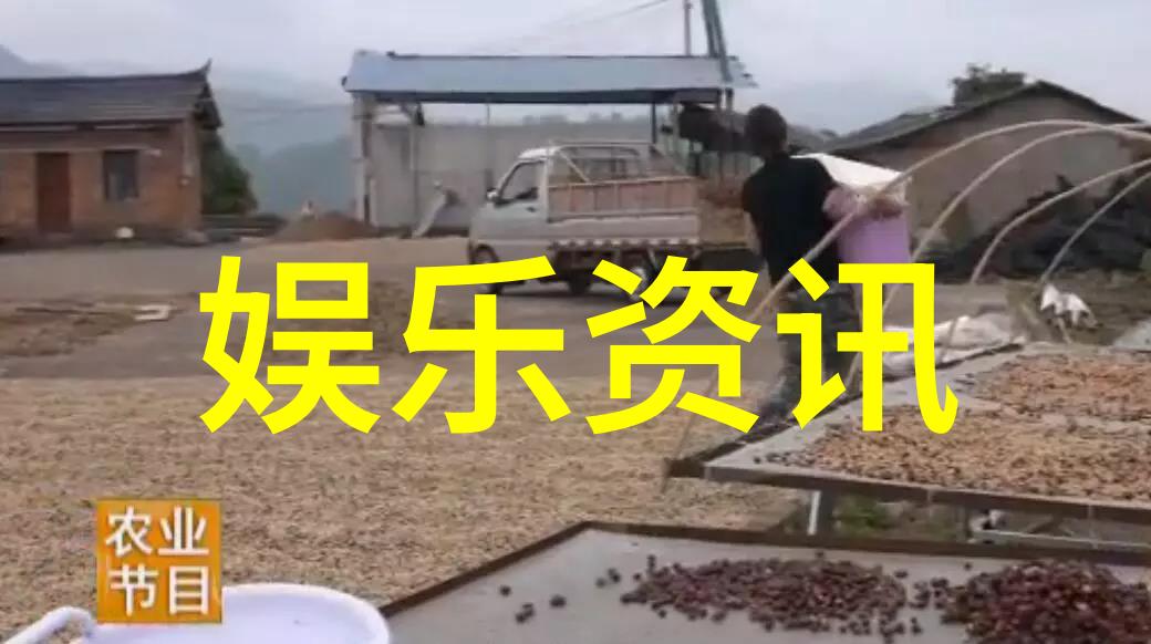 同性明星光芒与挑战