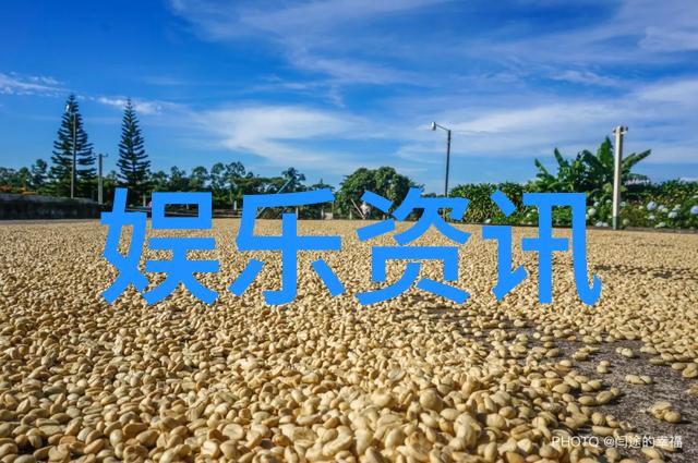 多多影视-探秘国产精品剧集的魅力与挑战