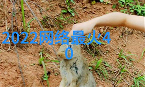 医院里的小秘密医生们的轮班游戏