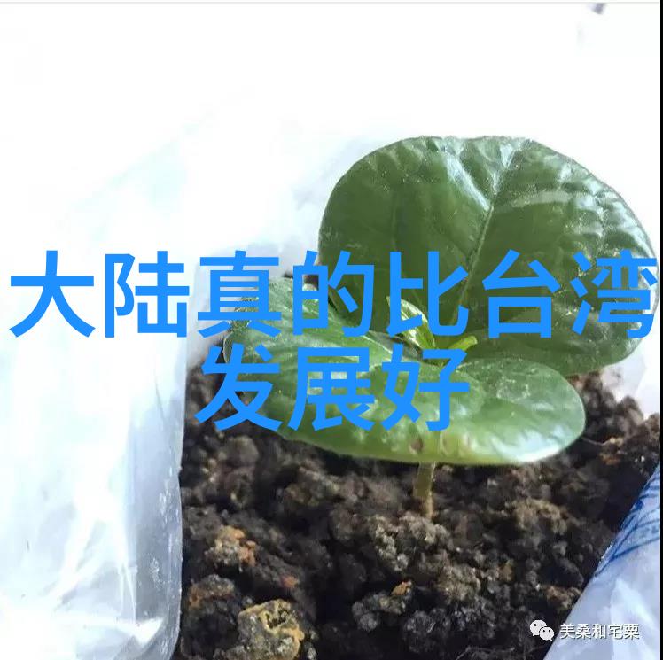 创意无限视觉盛宴全国十大美食博主排行榜