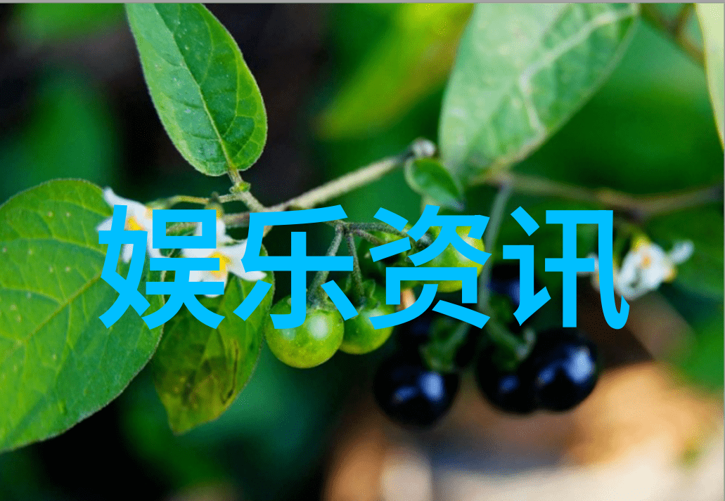 老歌100首经典老歌免费听我还记得那些年代的旋律一场穿越时光的音乐之旅