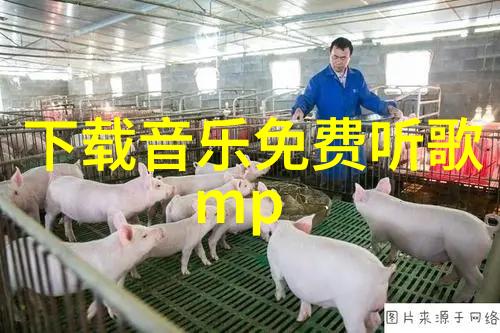 音韵绘声舞台背后的旋律之旅