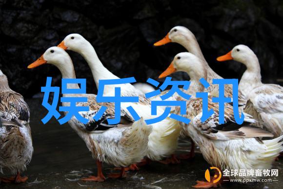 跨越语言障碍共享音乐喜悦追踪这10首被爱不释手的英文金曲