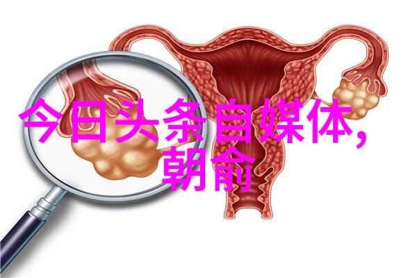 从厨房到卧室一直C-连贯的美食旅程探索家中的C字线路