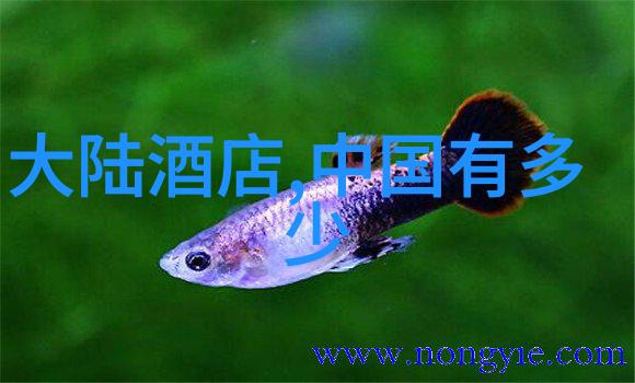 网红小鲜肉李昂菲新戏曝光扮演神秘男子引人关注