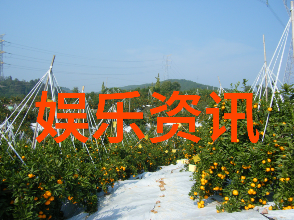 策驰影视梦想之舟绘制银幕璀璨篇章