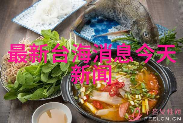 探究真实性写真的定义与多元解读