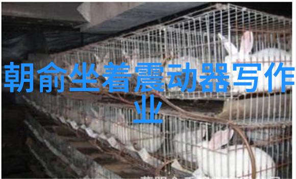 浙江横店影视职业学院-梦想大片探索浙江横店影视职业学院的电影教育奇迹