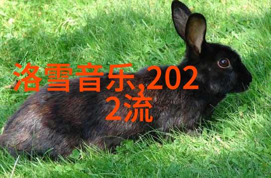 回响中的时光八十年代经典老歌500首的文化史考察与音乐学分析