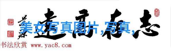 探秘娱乐圈新宠王者出击综艺的奇迹之旅