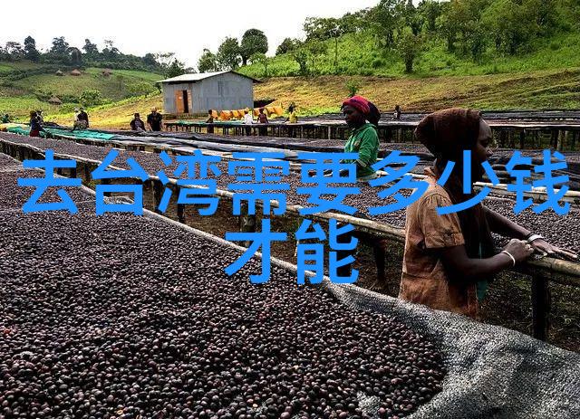 心累伤感短句精选不被重视的说说