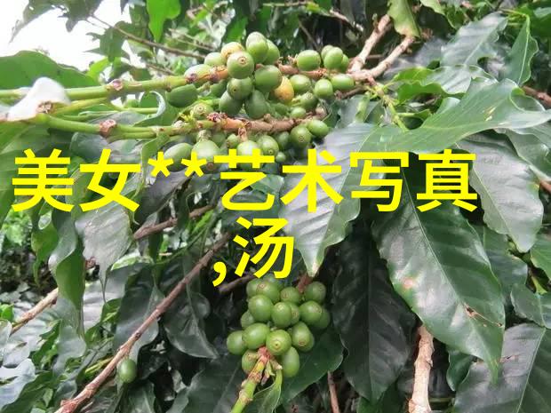 女优写真-翩跹美丽探索日本AV界的艺术与魅力