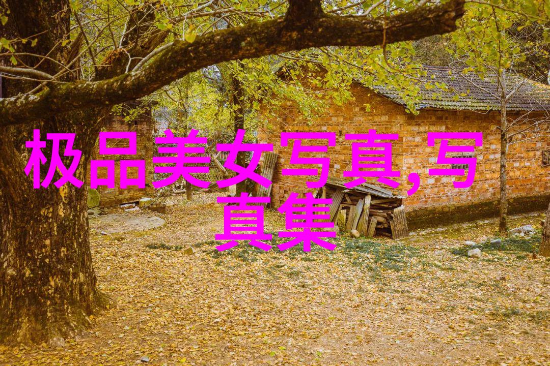 李斯丹妮的艺术世界色彩与梦想的交响篇