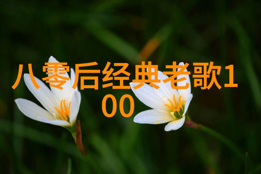 日本摄影师在创作照片时通常会遵循哪些原则和风格