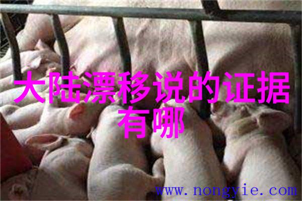 乳房照片编辑增强自然魅力而非过度修饰