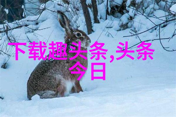赵丽颖与冯绍峰婚姻解体背后的原因探究爱情事业与生活中的挑战