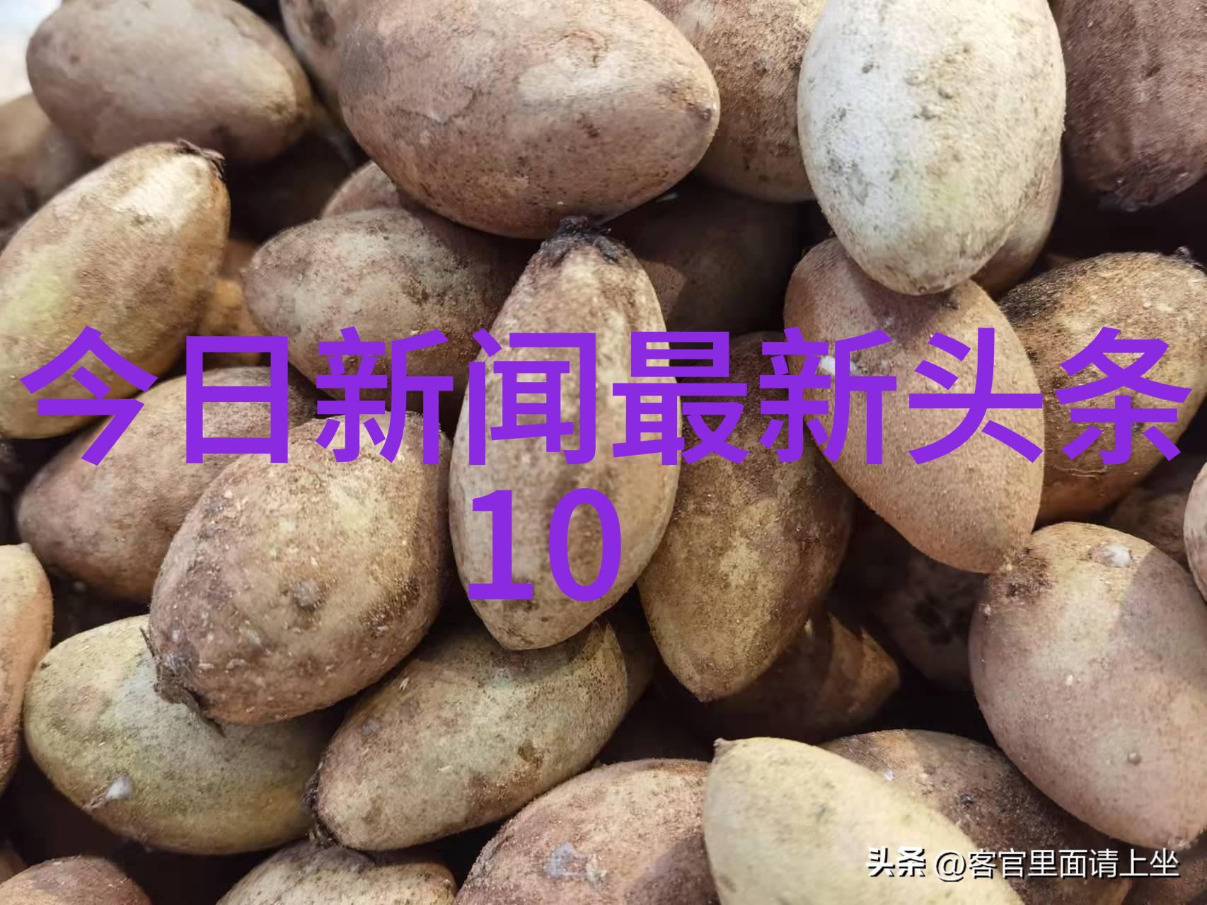 新闻头条跆拳道霸主对决郑姝音赵帅冠军对冠军2大战将震撼全球武力值之巅