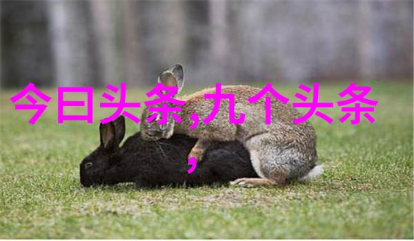 在日常生活中我们应该如何合理利用智能图片识别功能